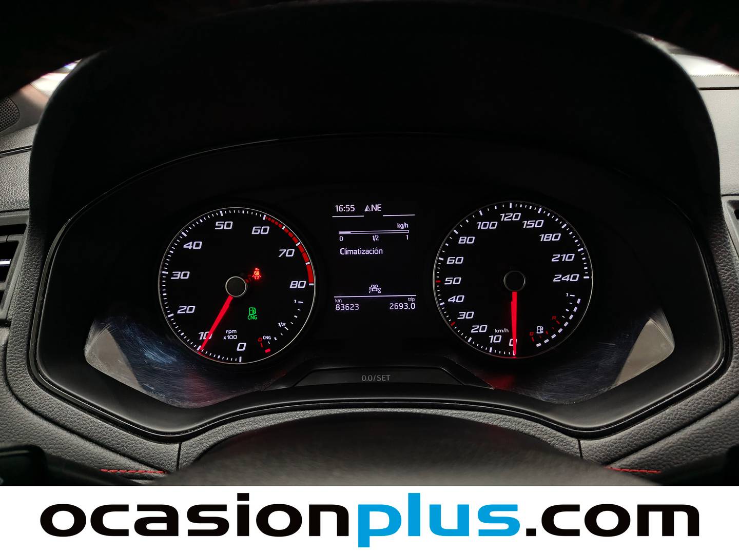 Seat Arona Seat Arona 1.0 TGI GNC FR (90 CV) al mejor precio