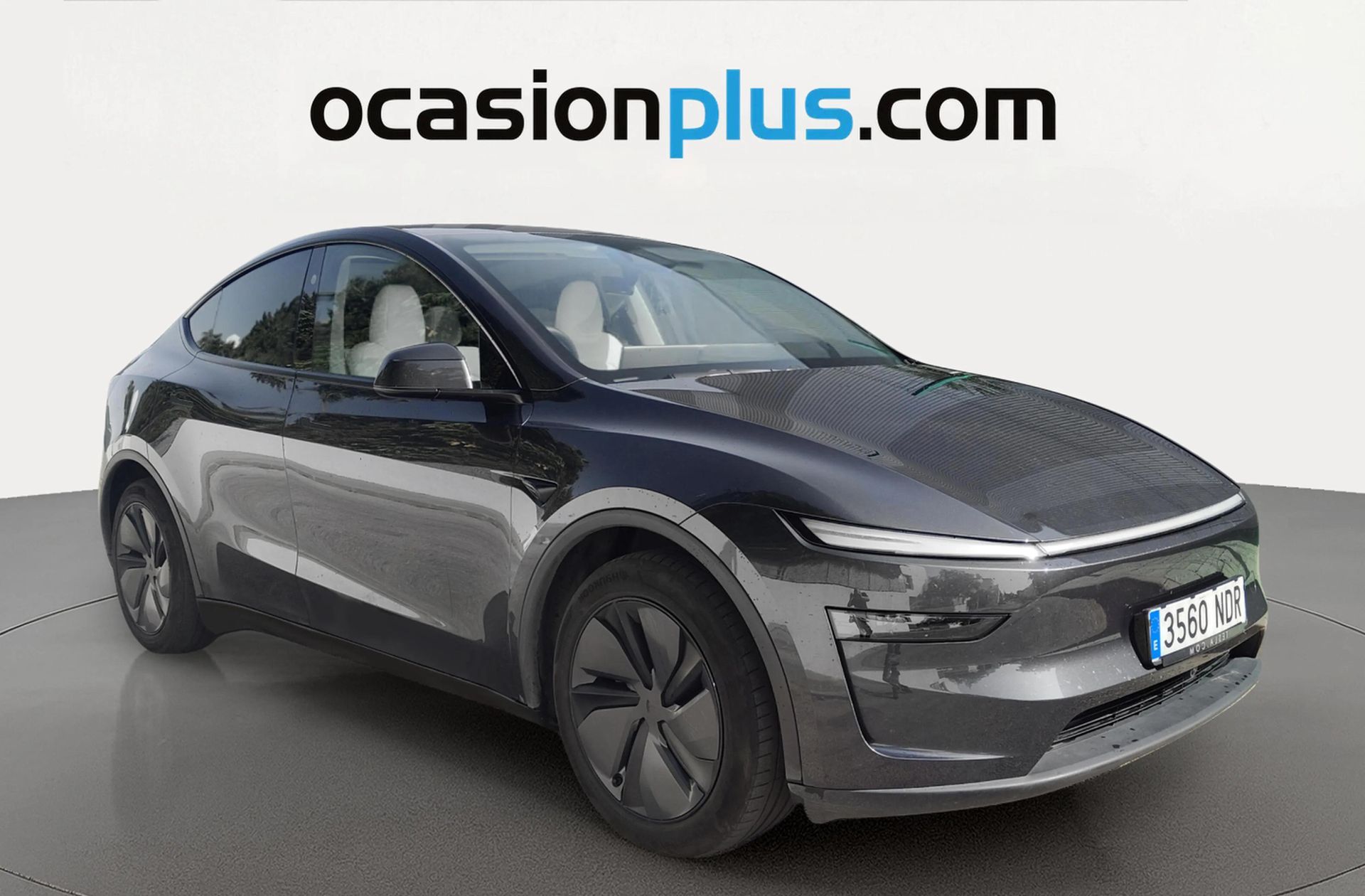 Tesla Model Y Gran Autonomía 4WD - foto 2