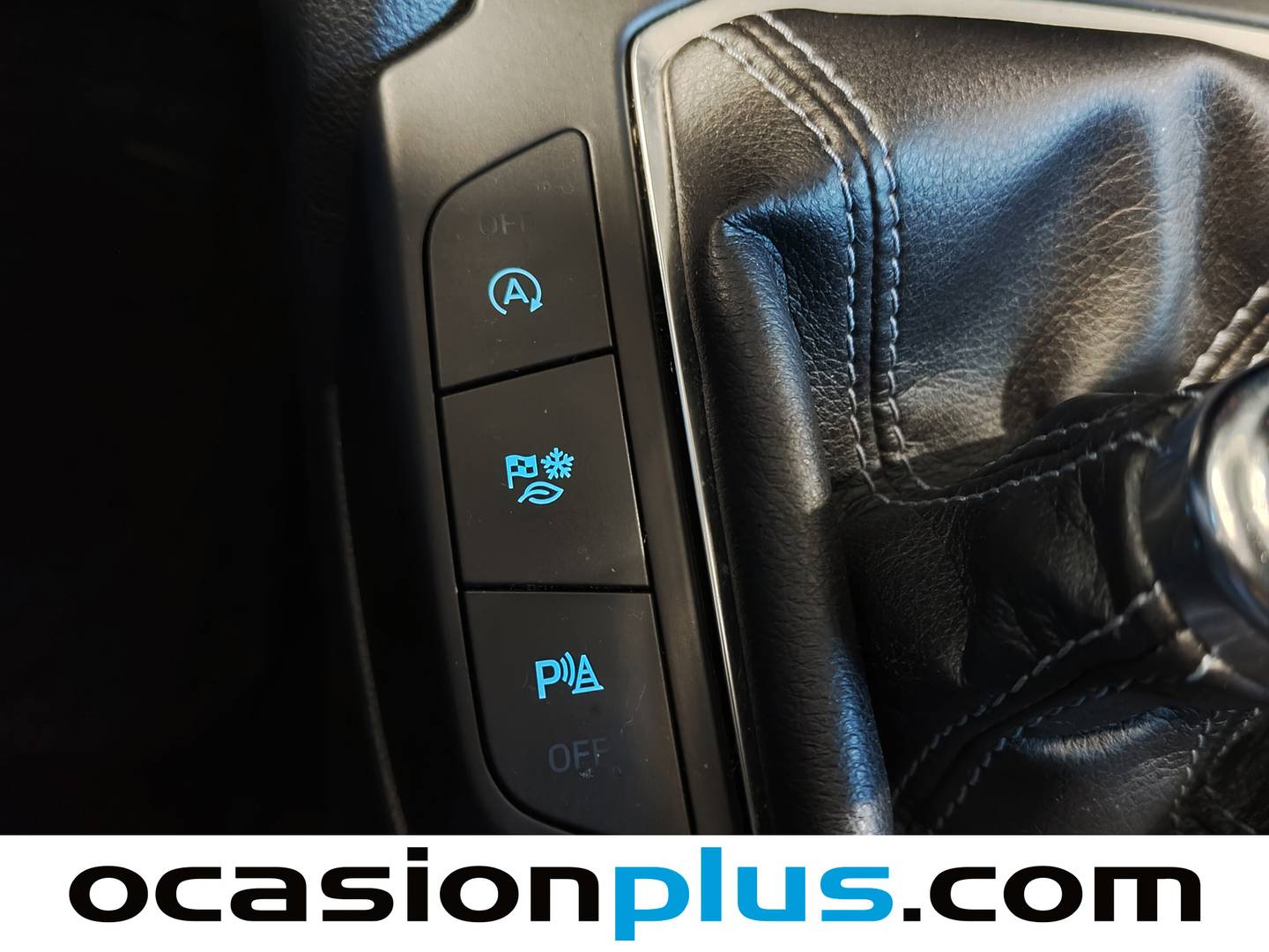 Foto Ford Focus Ford Focus 1.0 Ecoboost MHEV Active X (155 CV)