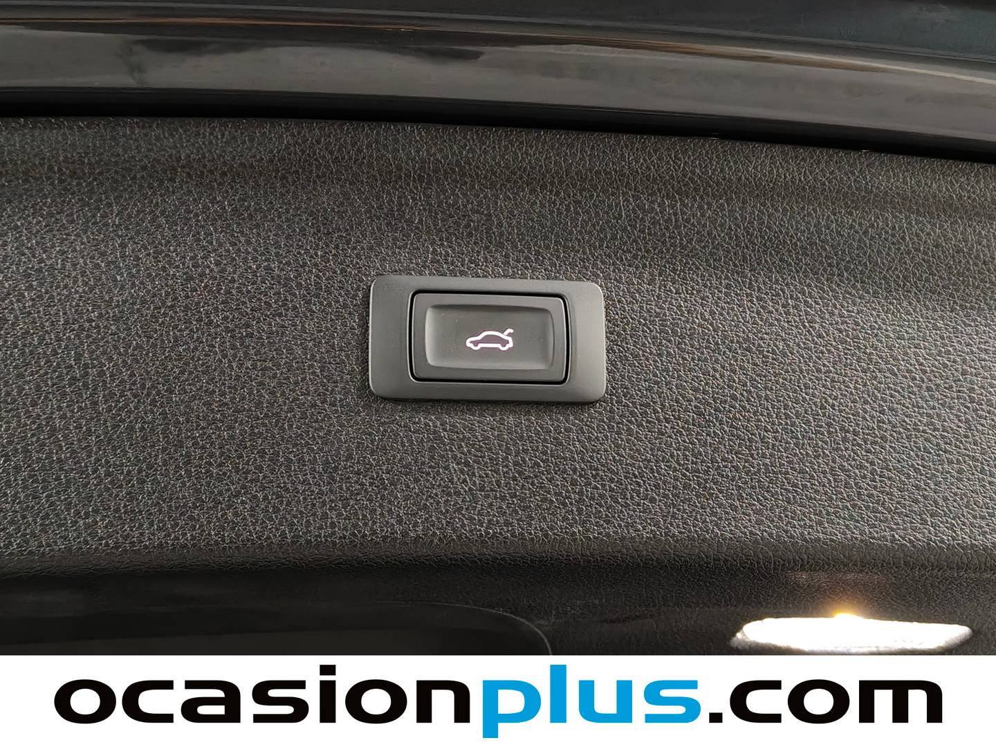 Audi Q5 Audi Q5 Advanced 35 TDI (163 CV) S tronic 2024