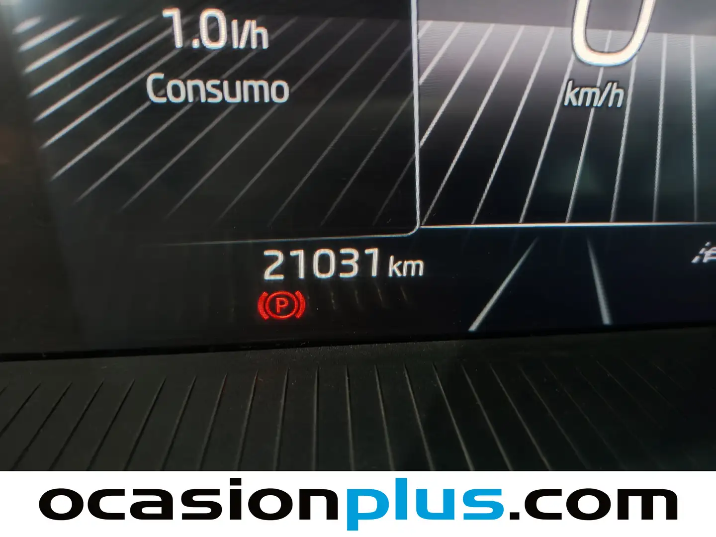 Foto Skoda Fabia Skoda Fabia 1.0 TSI Selection  (95 CV)