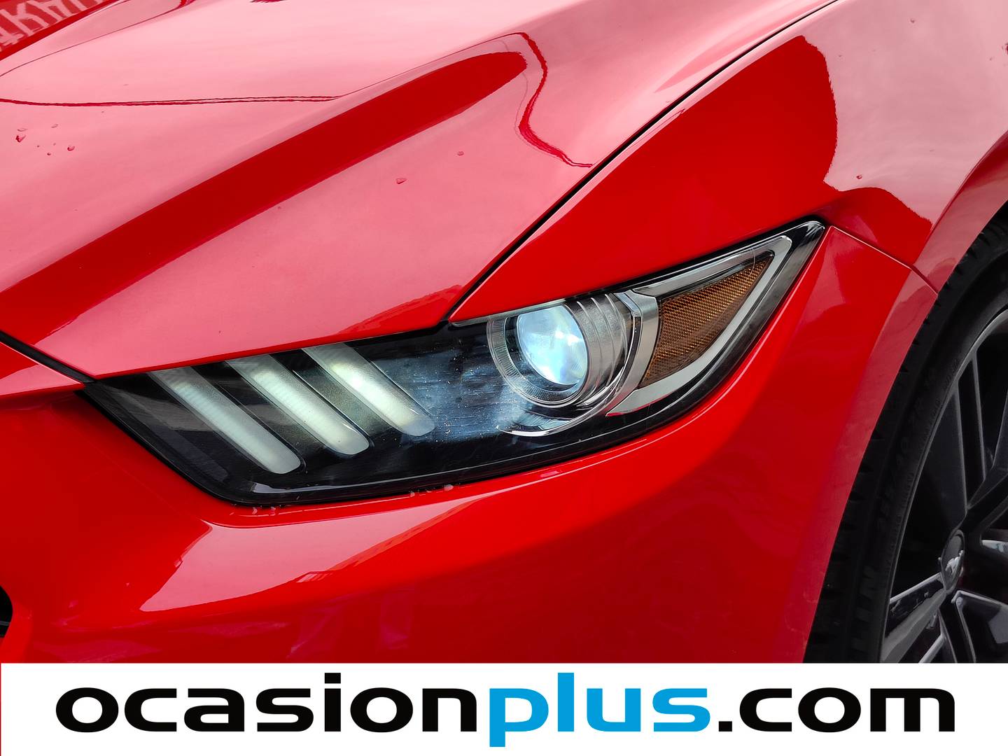 Acabados Ford Mustang Ford Mustang 2.3 EcoBoost Mustang (Fastback) (314 CV)