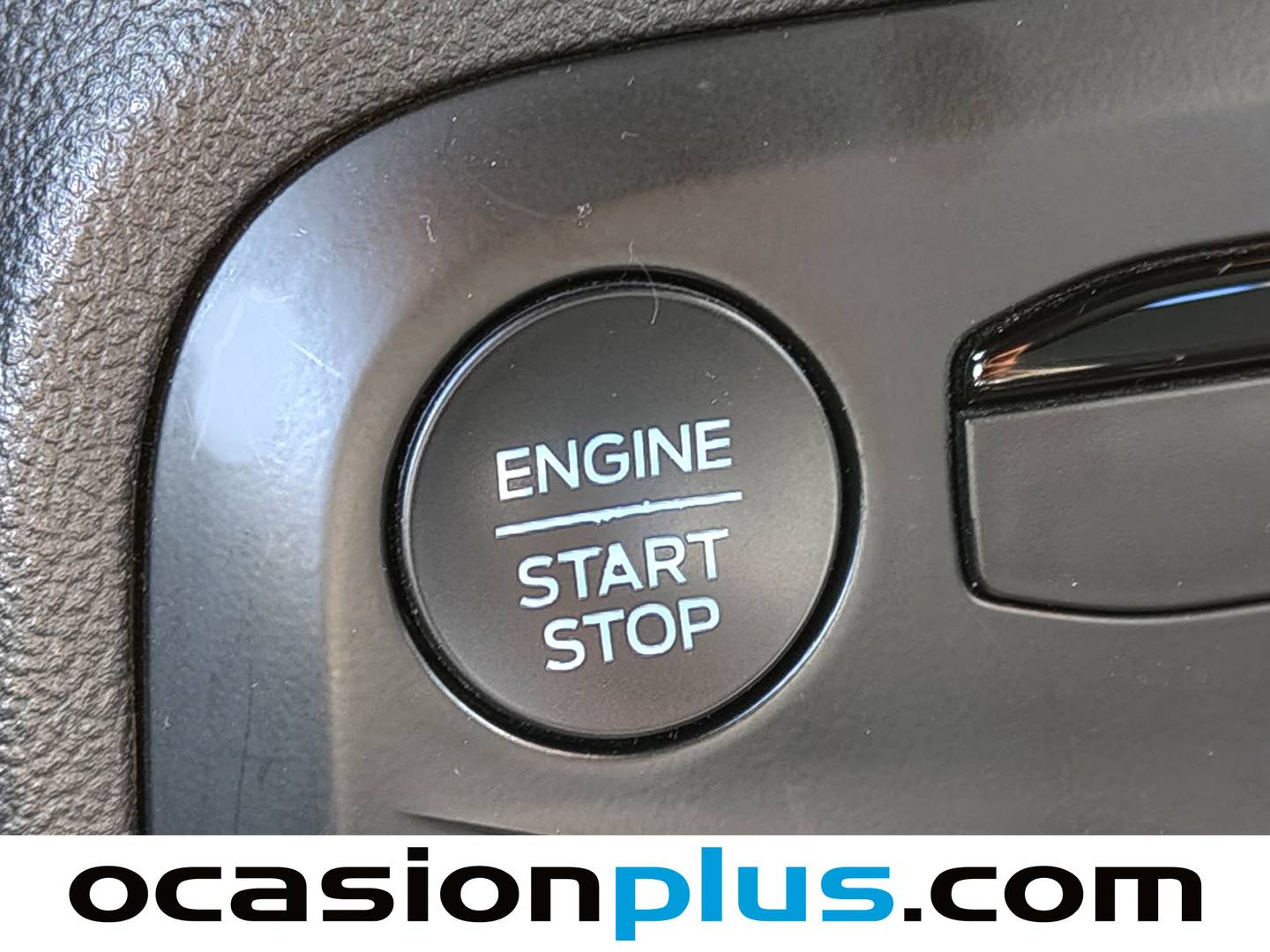 Ford Focus Ford Focus 1.0 Ecoboost MHEV ST-Line (125 CV) al mejor precio