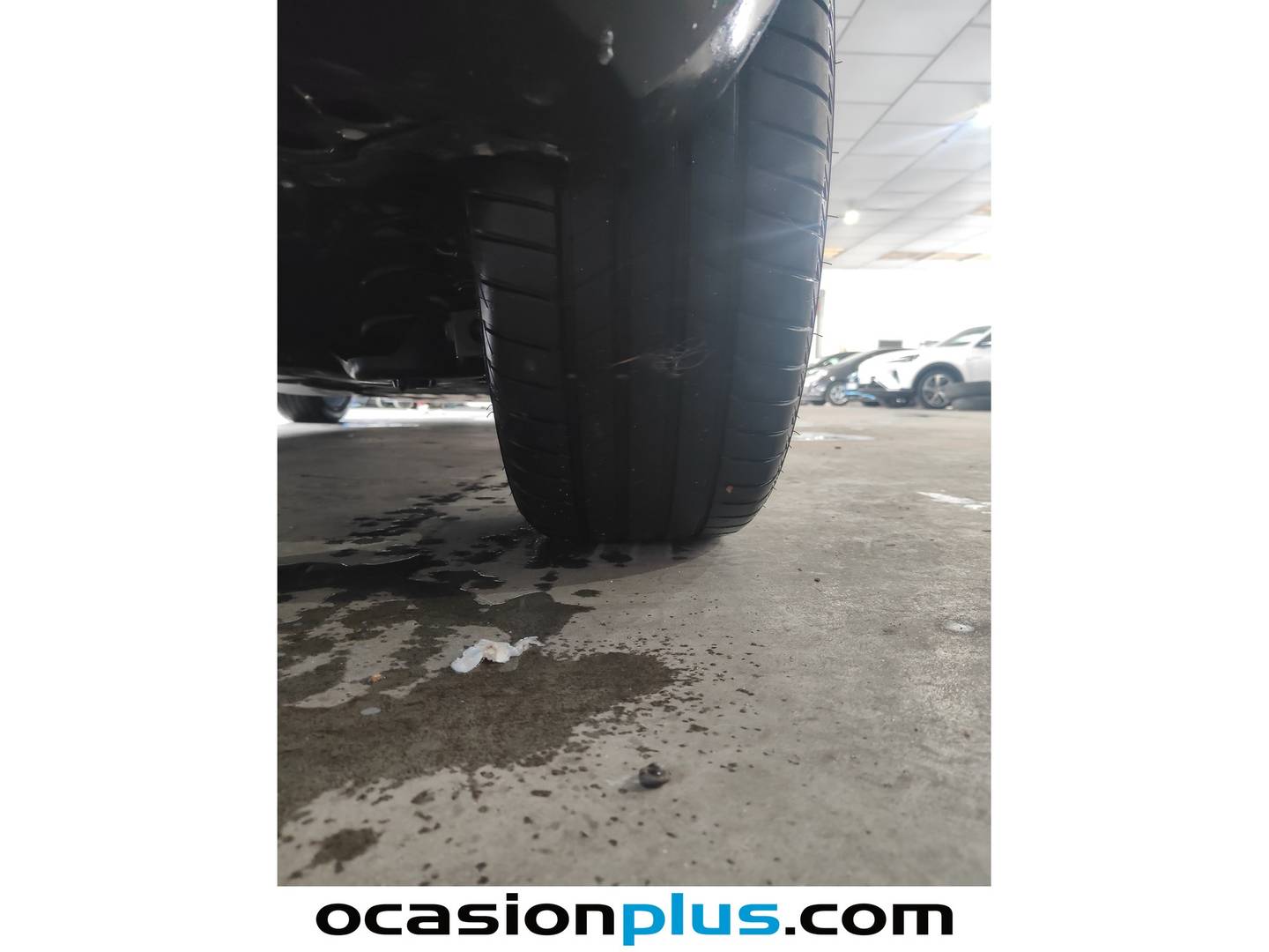 Seat León Seat León 1.5 TSI S&S FR Go L  (150 CV) seminuevo