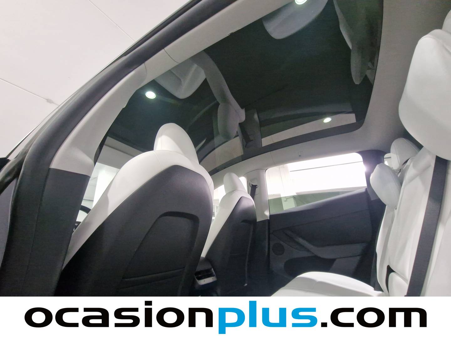 Tesla Model Y Tesla Model Y Performance 4WD (534 CV) de ocasión