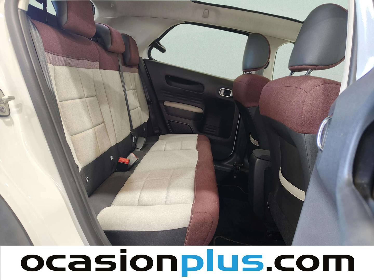 Citroën C4 Cactus Citroën C4 Cactus PureTech 110 S&S Cool&Comfort (110 CV) km 0