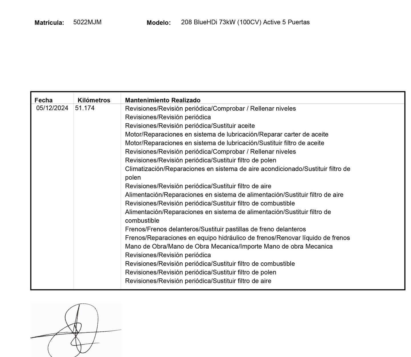 Foto del mantenimiento del Peugeot 208 Peugeot 208 BlueHDi 100 Active (100 CV)