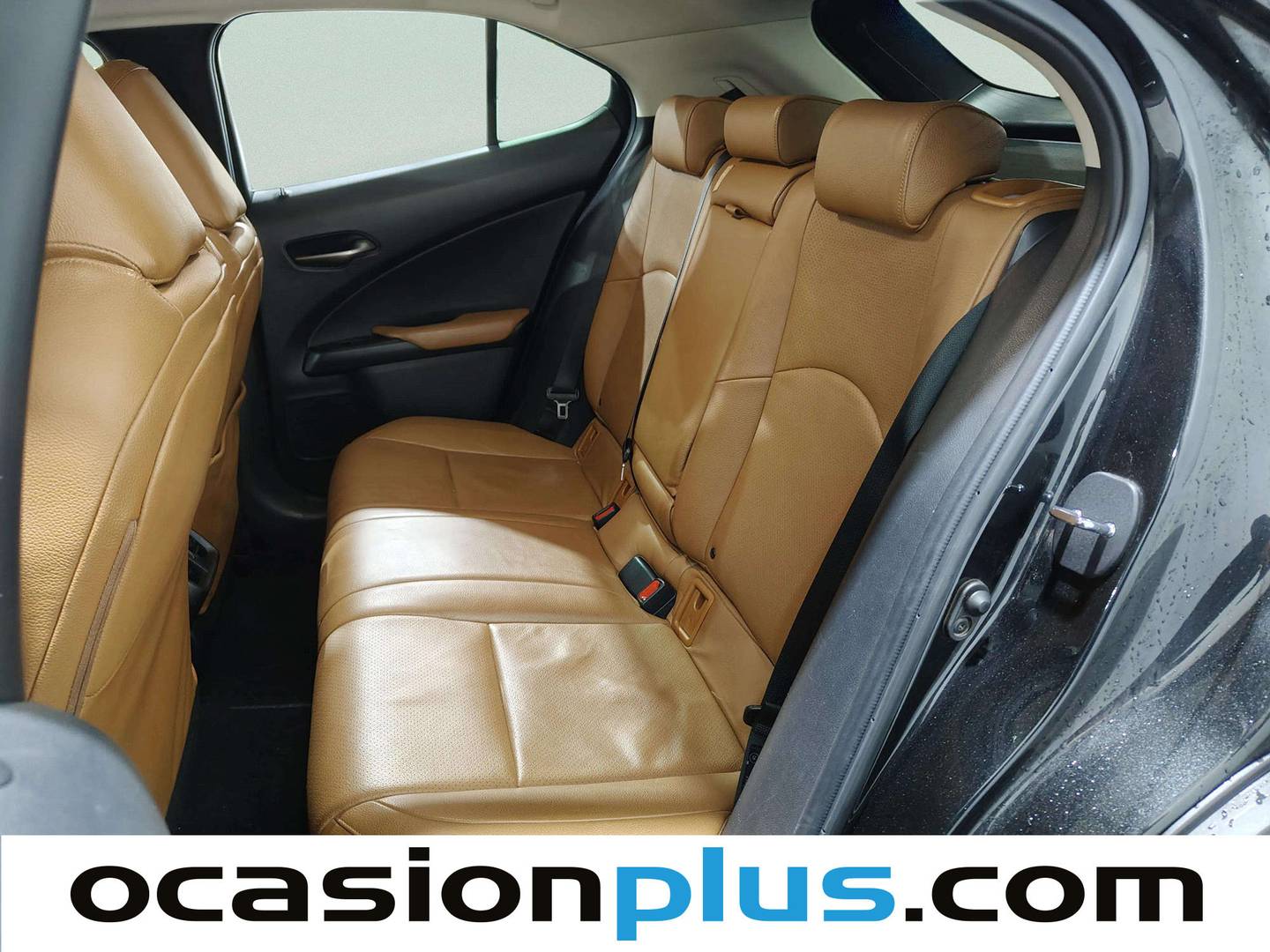 Foto Lexus UX Lexus UX 250h Executive Navigation (184 CV)