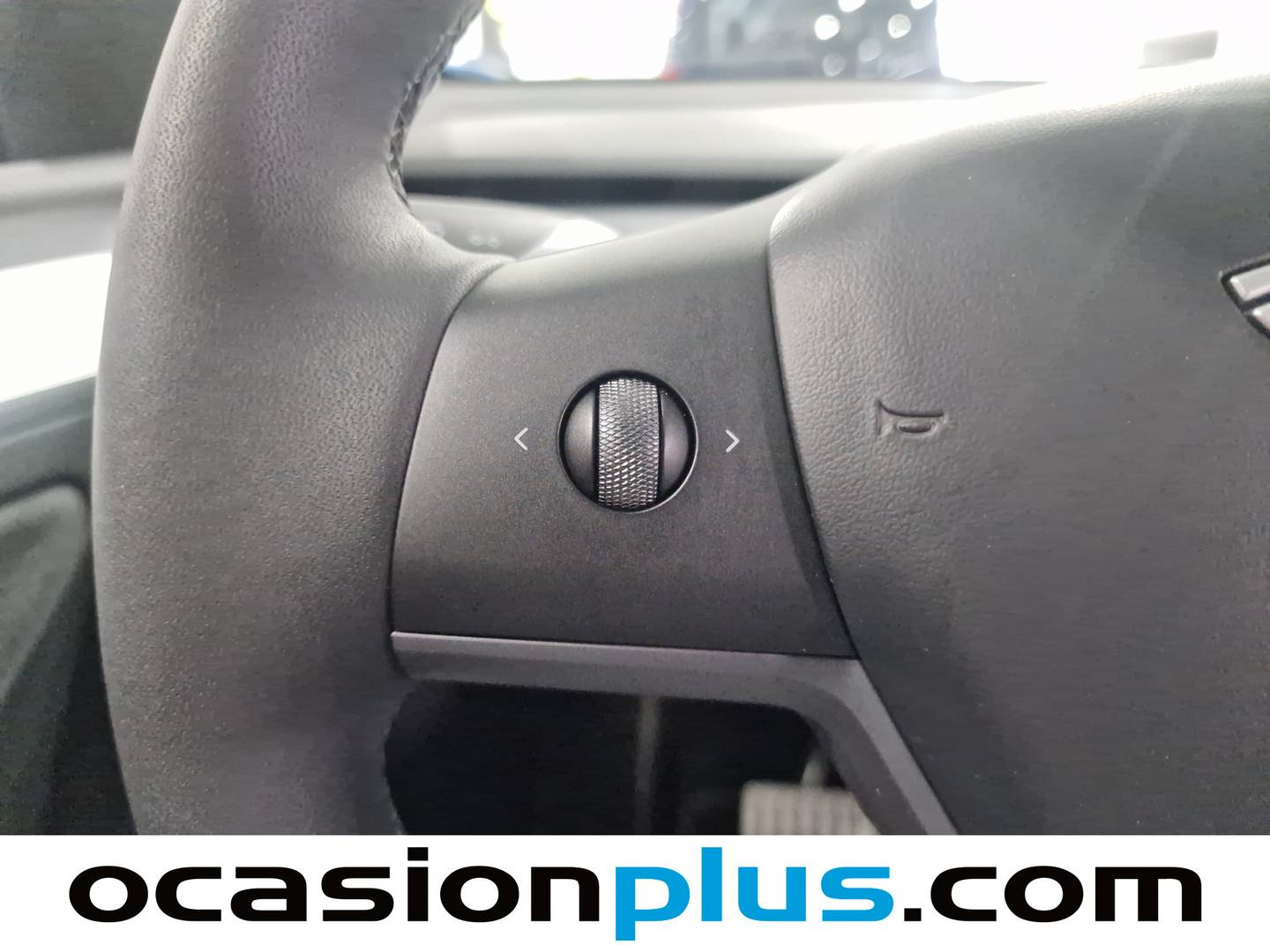 Tesla Model Y Tesla Model Y Performance 4WD (534 CV) km 0