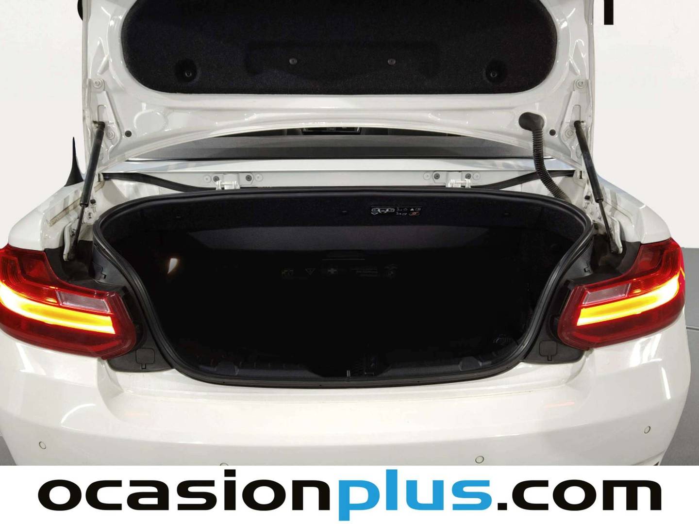 Foto BMW Serie 2 BMW Serie 2 220d Cabrio (190 CV)