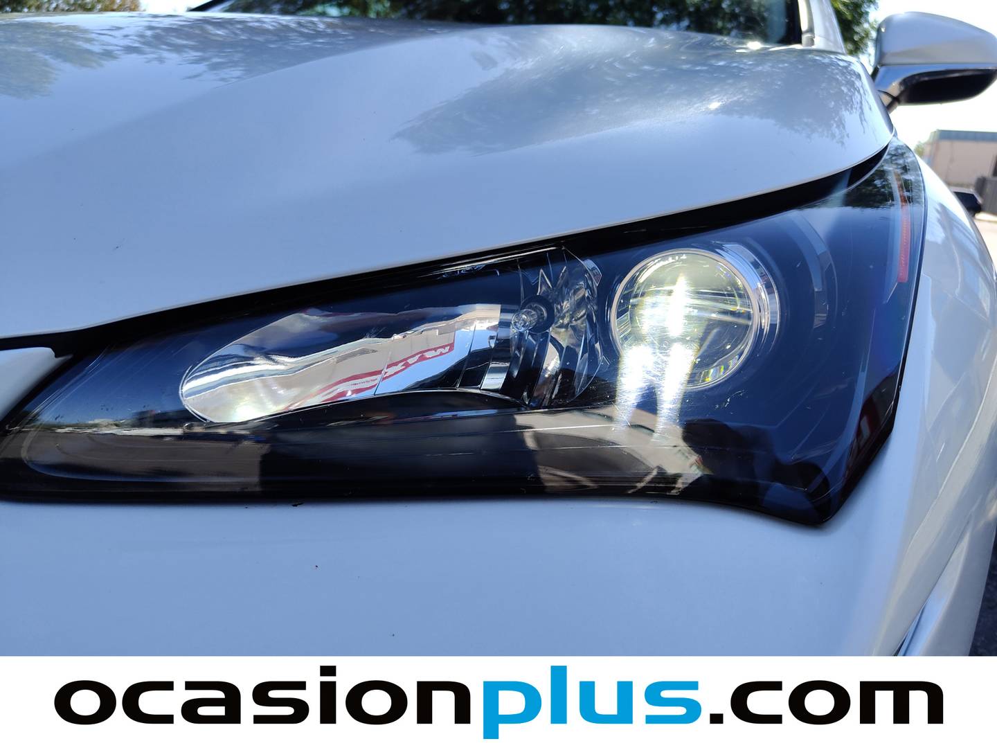 Accesorios del Lexus NX Lexus NX 300h Executive 4WD Tecno + Navibox (197 CV)