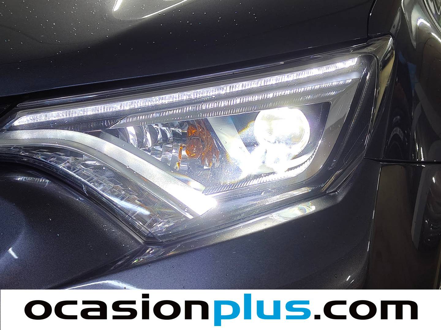 Toyota Rav4 Toyota Rav4 2.5l hybrid Executive 4WD (197 CV) km 0