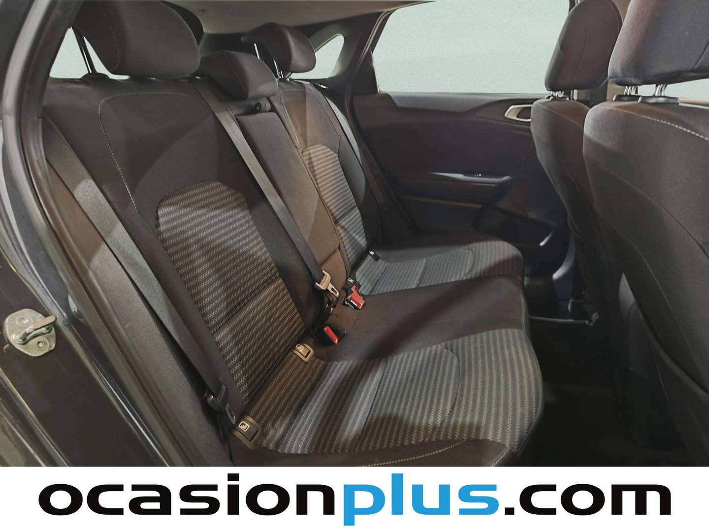 KIA Ceed KIA Ceed 1.6 MHEV iMT Drive (136 CV) al mejor precio