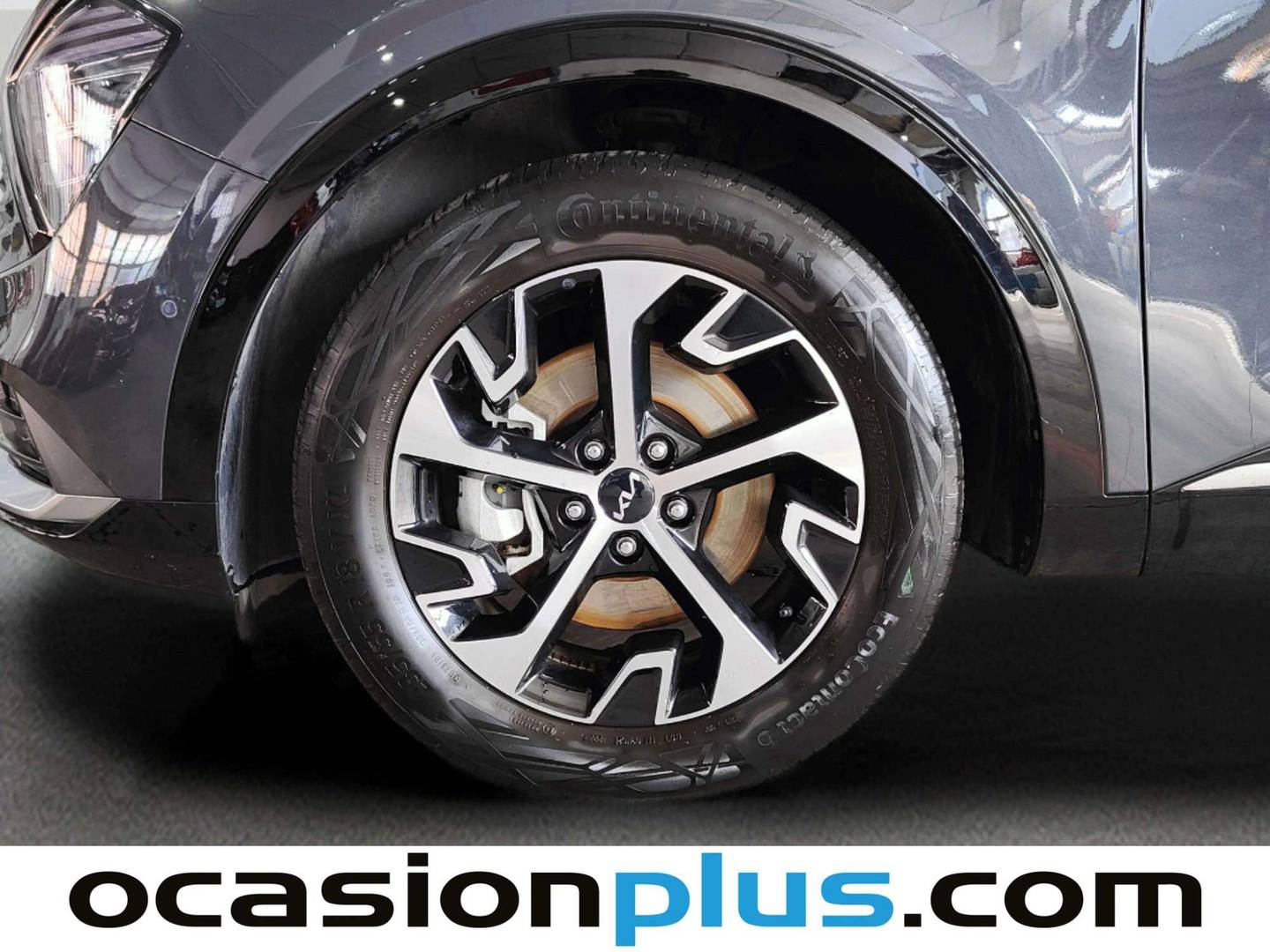 KIA Sportage KIA Sportage 1.6 T-GDi HEV Tech 4x2 Auto (230 CV) barato