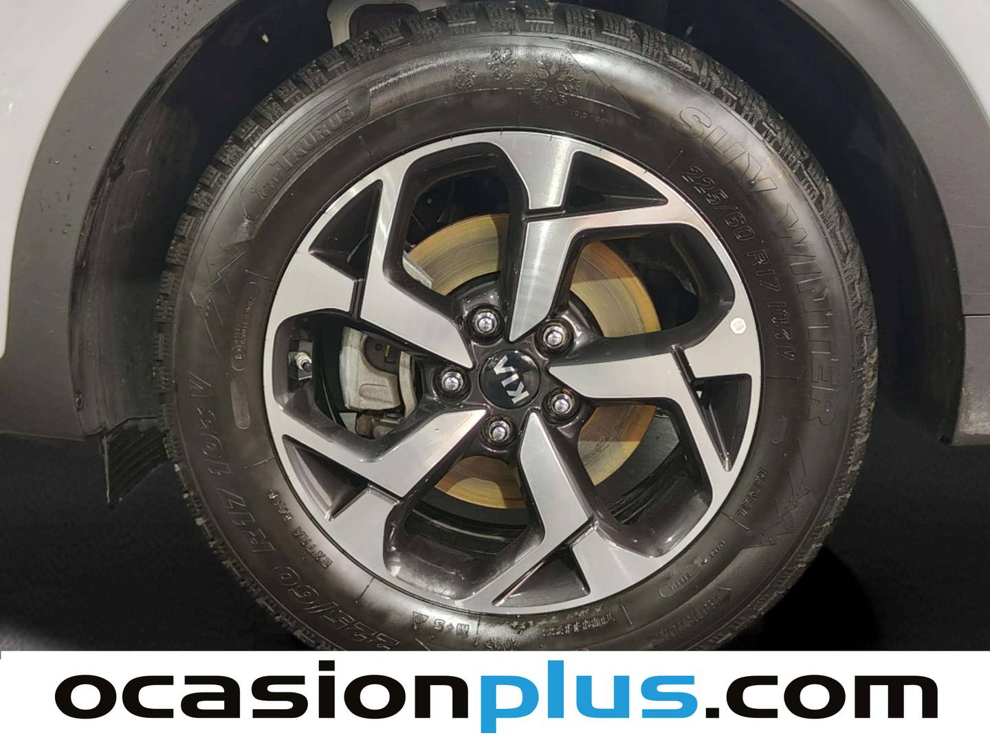 KIA Sportage Kia Sportage 1.6 MHEV Business 4x4 (136 CV) barato