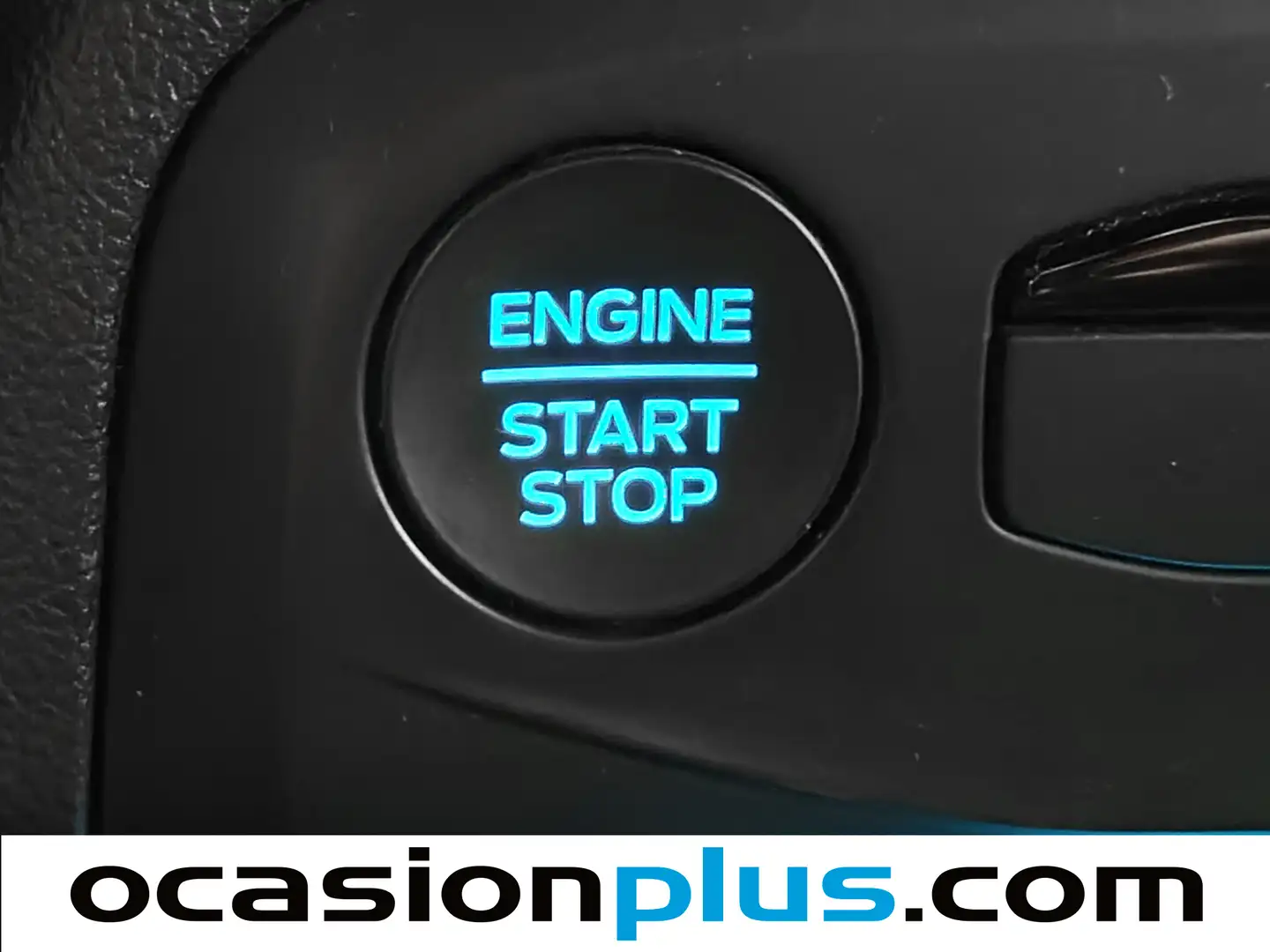 Foto Ford Focus Ford Focus 1.0 Ecoboost MHEV ST-Line Auto (125 CV)