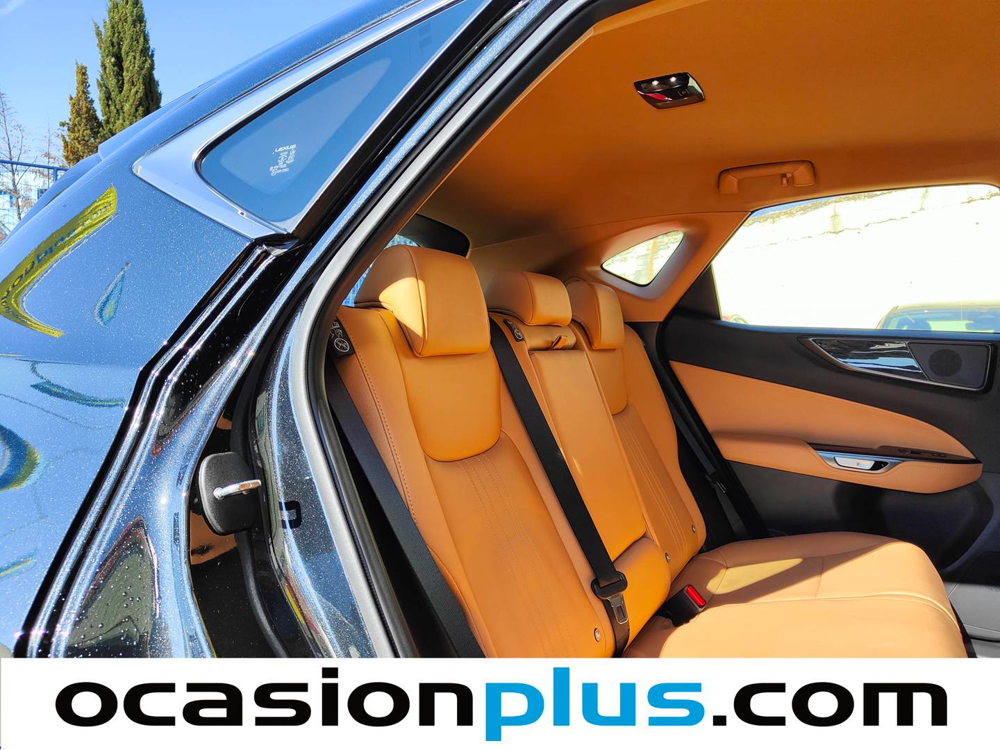 Lexus NX Lexus NX 350h Premium+ 2WD (242 CV) híbrido