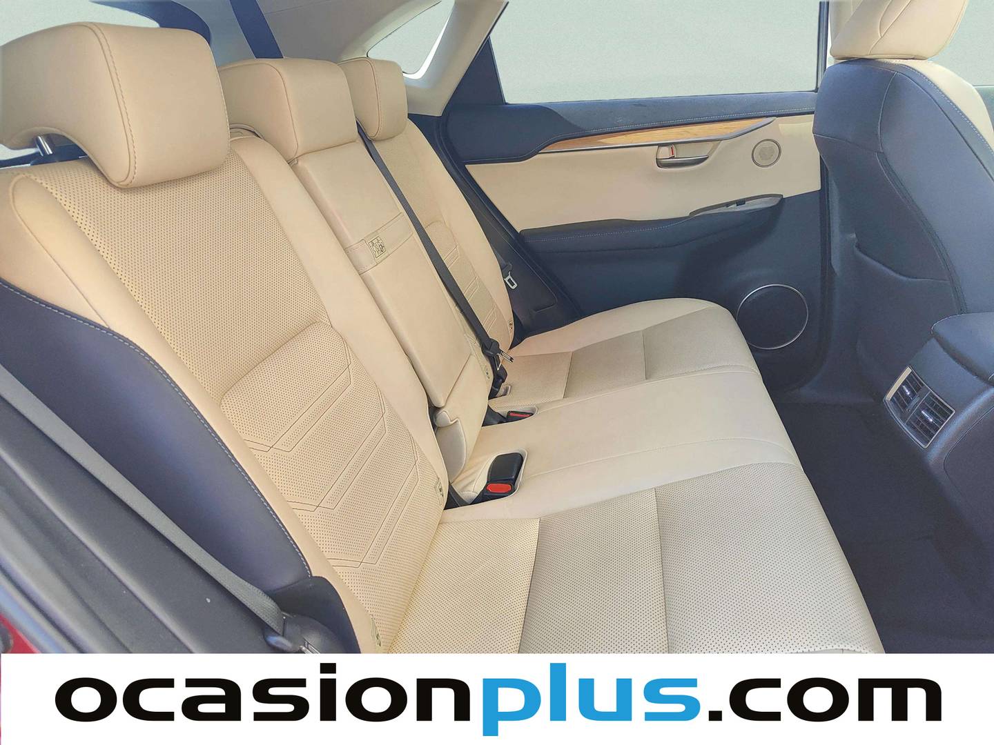 Lexus NX Lexus NX 2.5 300h Luxury 4WD (197 CV) híbrido