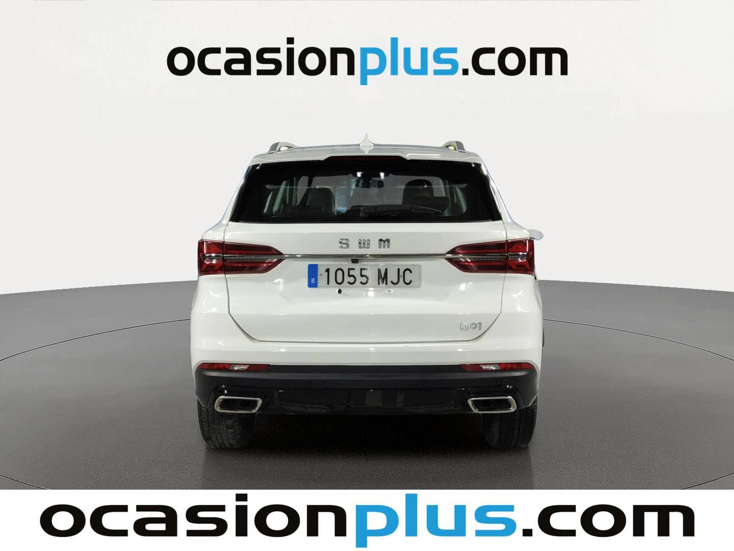 SWM G01 SWM G01 1.5T Luxury (131 CV) manual