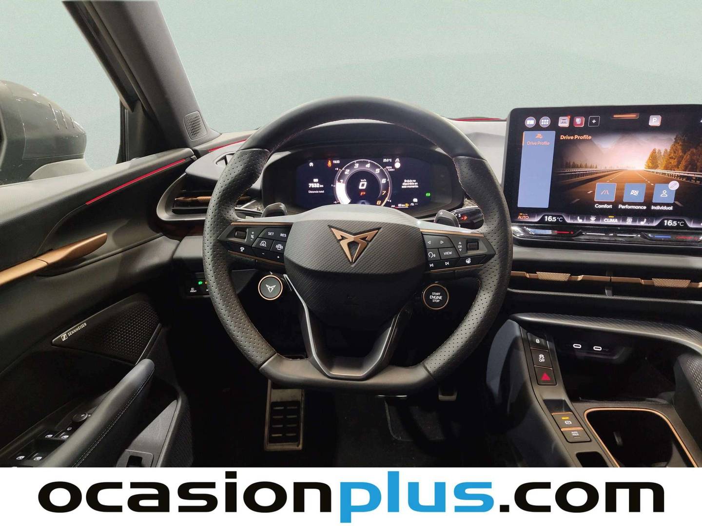 Cupra Terramar Cupra Terramar 1.5 eTSI DSG  (150 CV) de ocasión