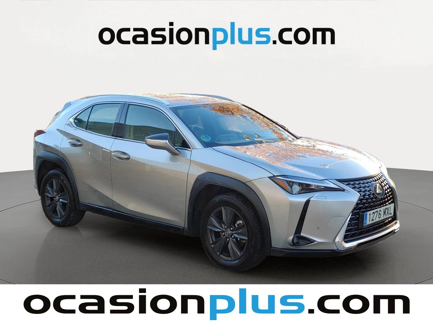 Lexus UX Lexus UX 300h UX (199 CV) de ocasión