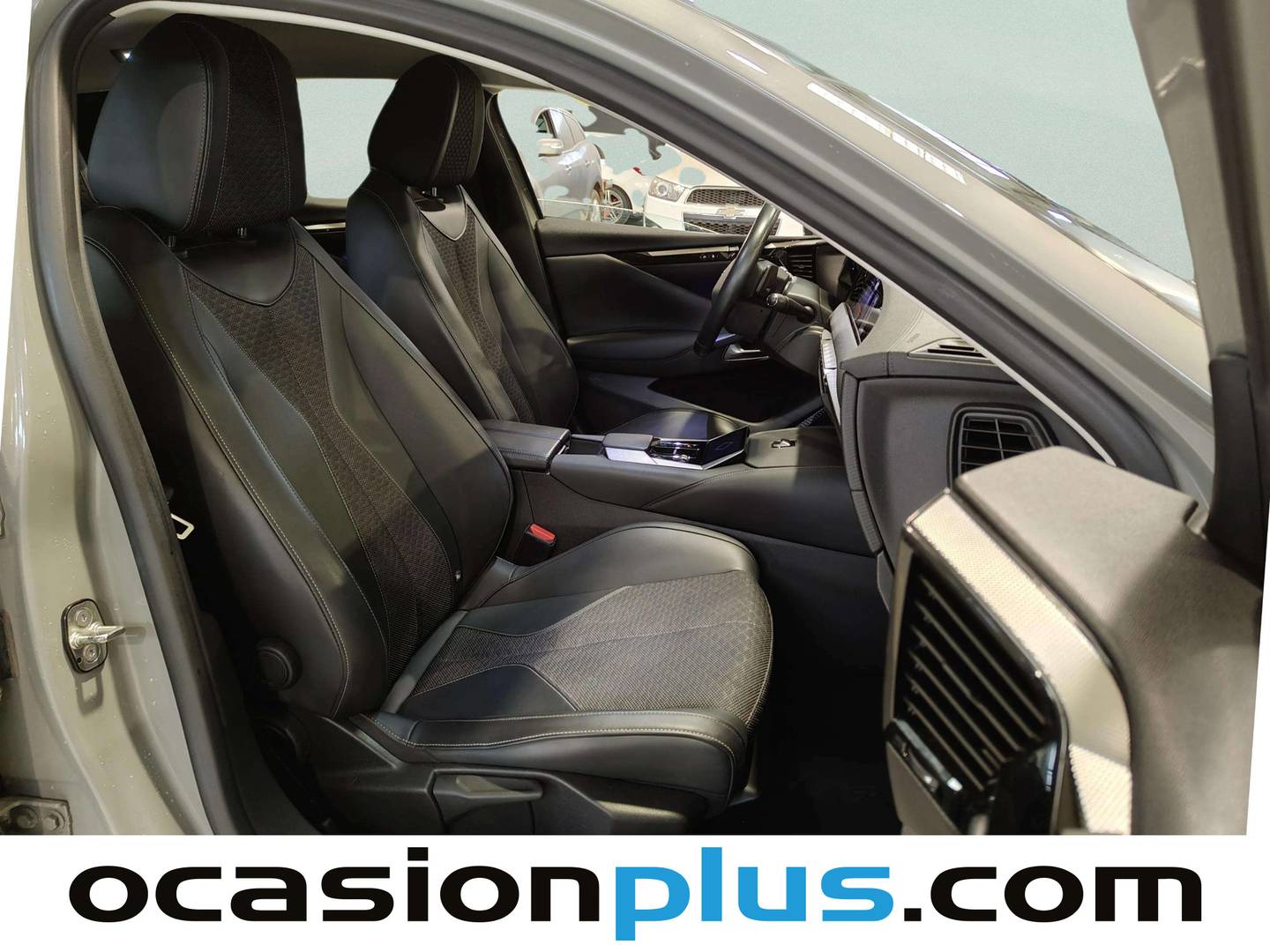 Foto DS DS 4 DS DS4 E-TENSE Trocadero (225 CV)