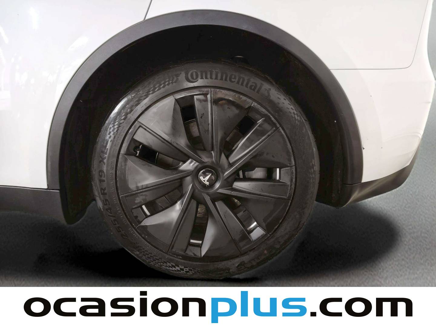 Foto Tesla Model Y Tesla Model Y Tracción Trasera RWD (347 CV)