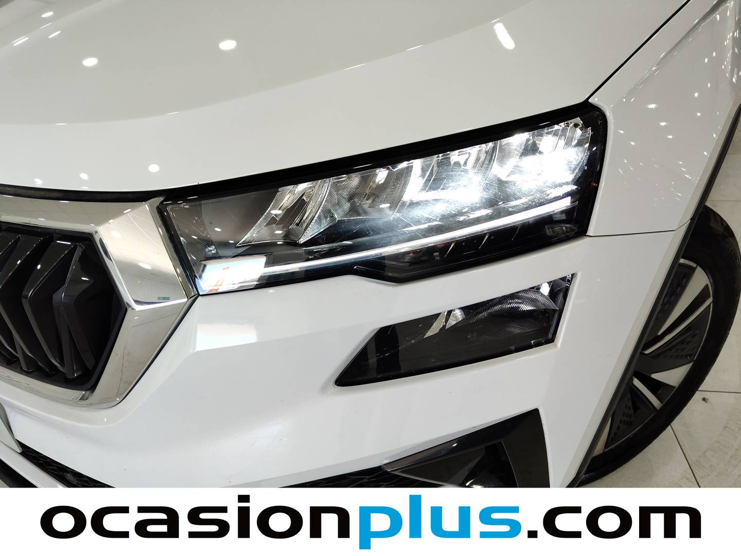 Extras del Skoda Karoq Skoda Karoq 1.5 TSI ACT Selection DSG (150 CV)