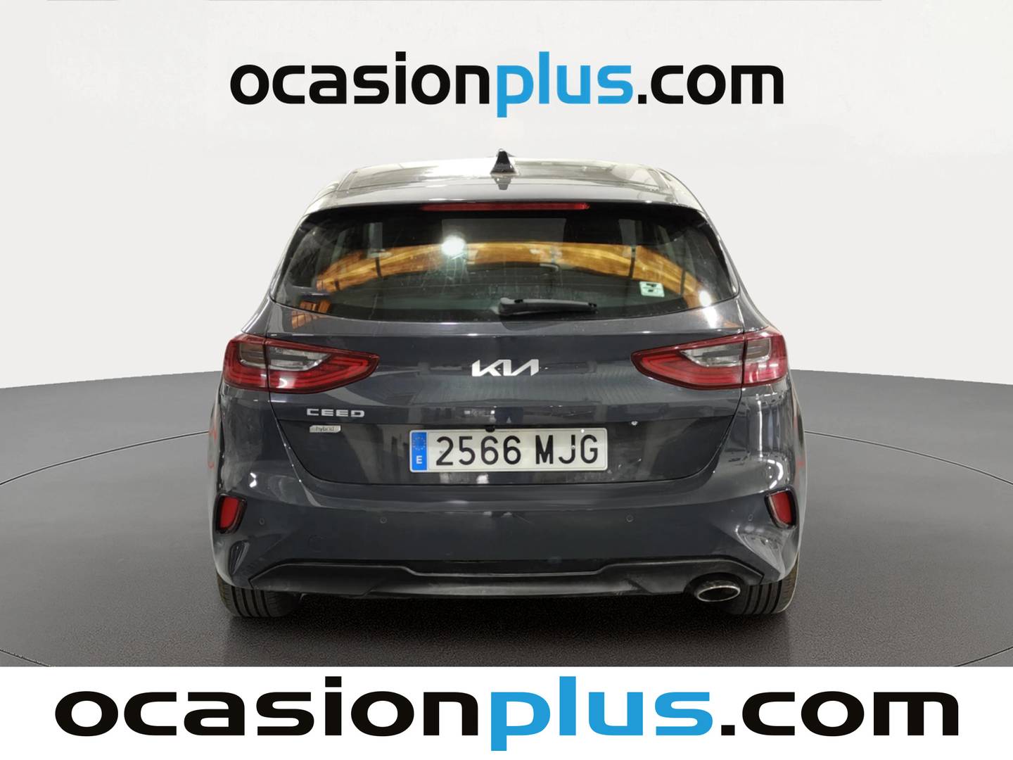 KIA Ceed KIA Ceed 1.6 MHEV iMT Drive (136 CV) 136cv