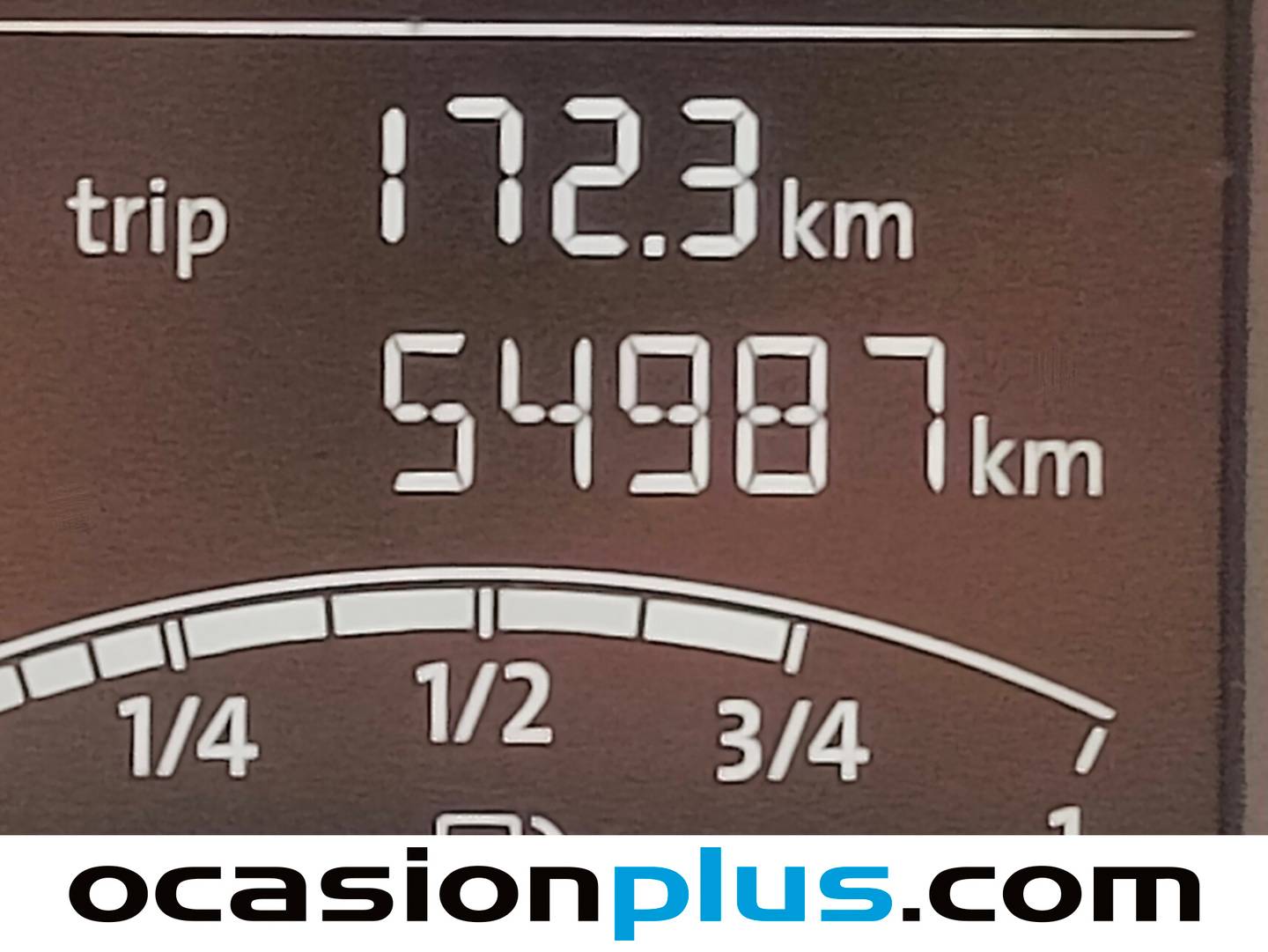 Volkswagen Polo Volkswagen Polo Advance 1.6 TDI (90 CV) seminuevo