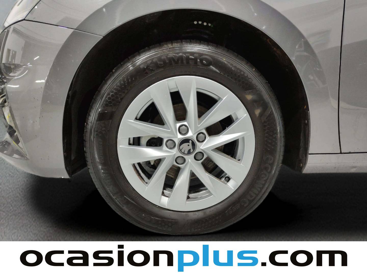 Foto Skoda Fabia Skoda Fabia 1.0 TSI Selection  (95 CV)