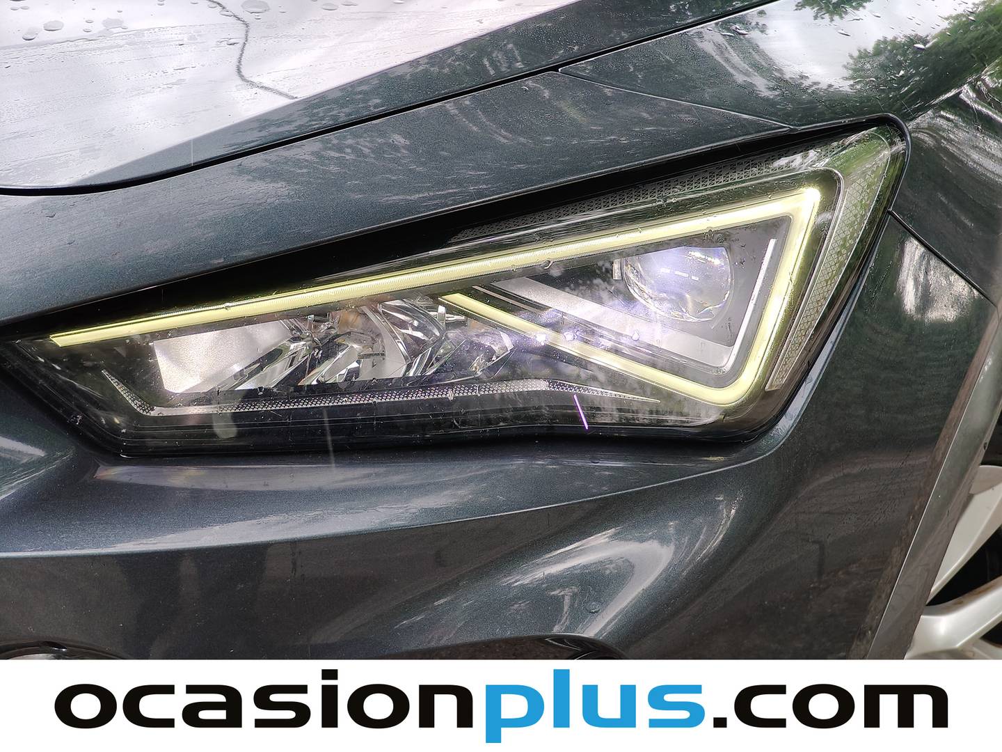 Paquetes del Cupra Formentor Cupra Formentor 1.5 TSI DSG (150 CV)