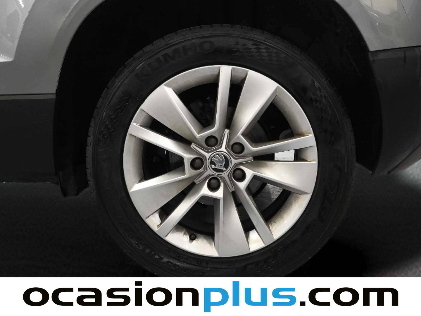 Skoda Karoq Skoda Karoq 1.6 TDI Ambition (115 CV) seminuevo