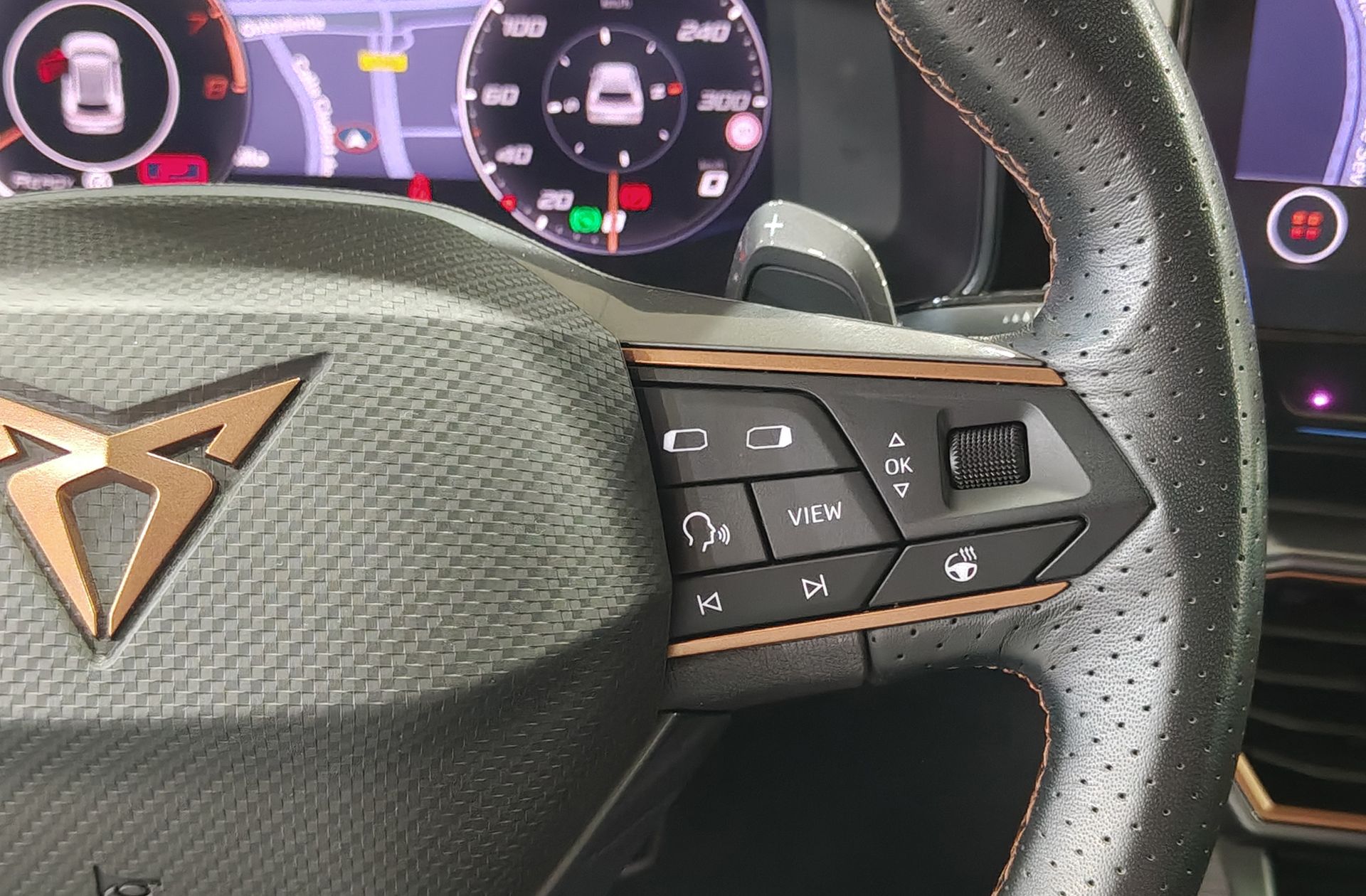 Cupra Formentor 1.5 TSI DSG - foto 24