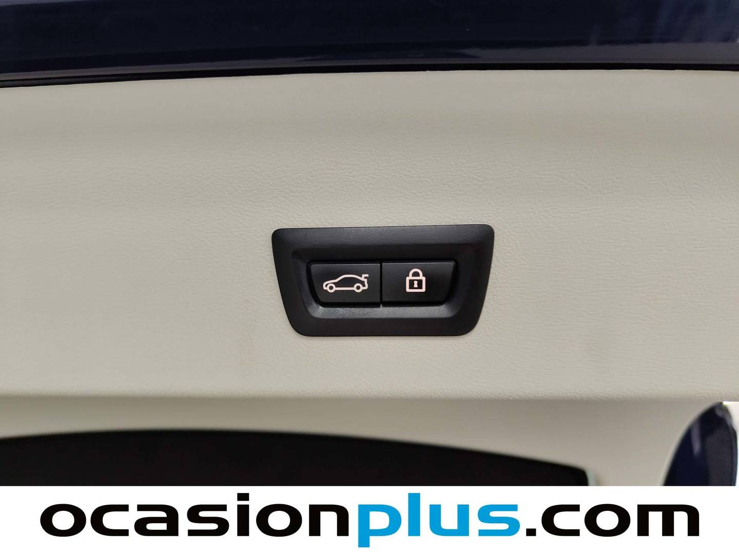 Foto BMW X4 BMW X4 xDrive20d xLine (190 CV)