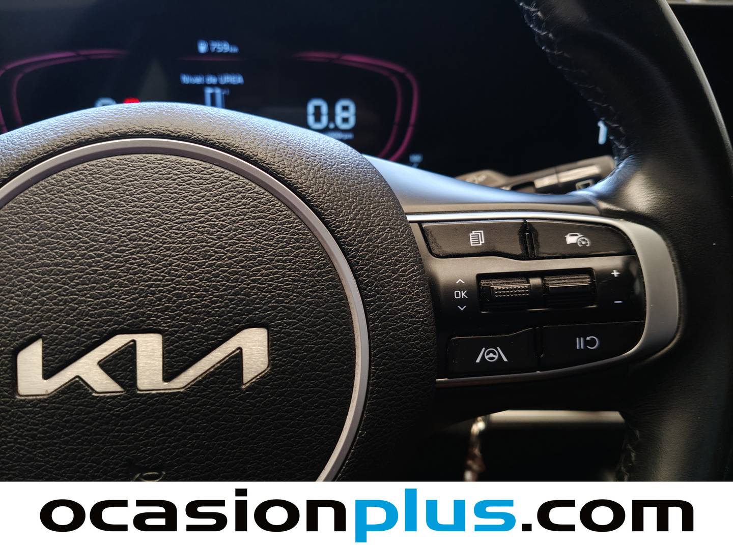 KIA Sportage KIA Sportage 1.6 CRDi MHEV Business 4x2 (136 CV) al mejor precio