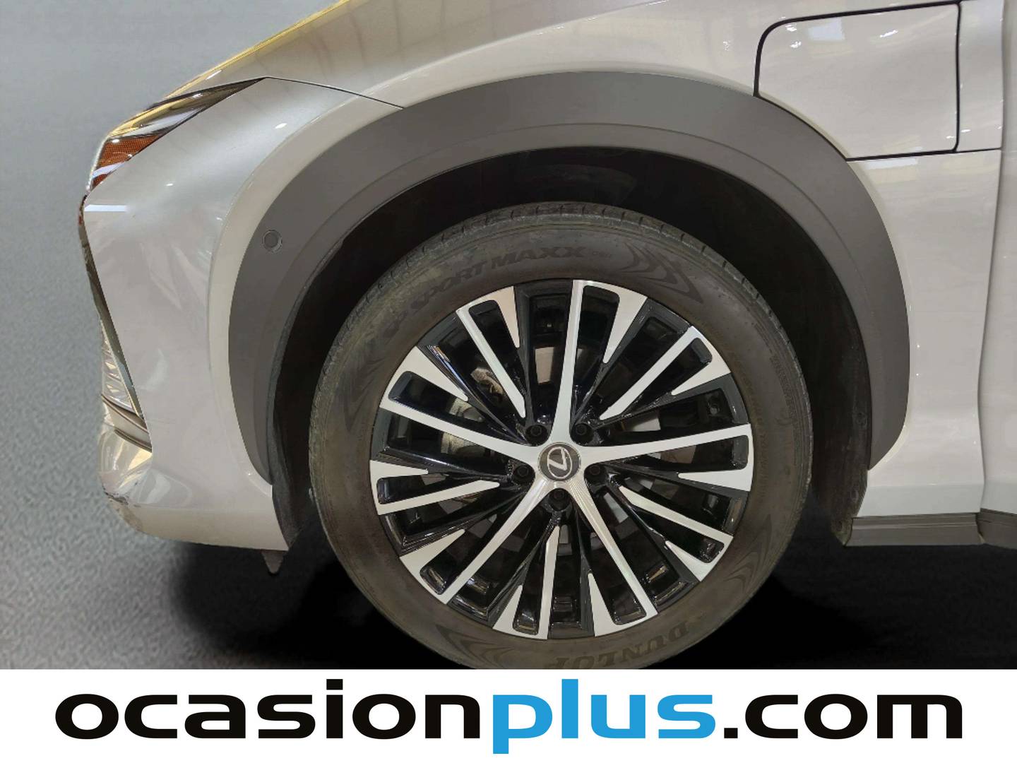 Lexus RZ Lexus RZ 450e Executive (313 CV) barato
