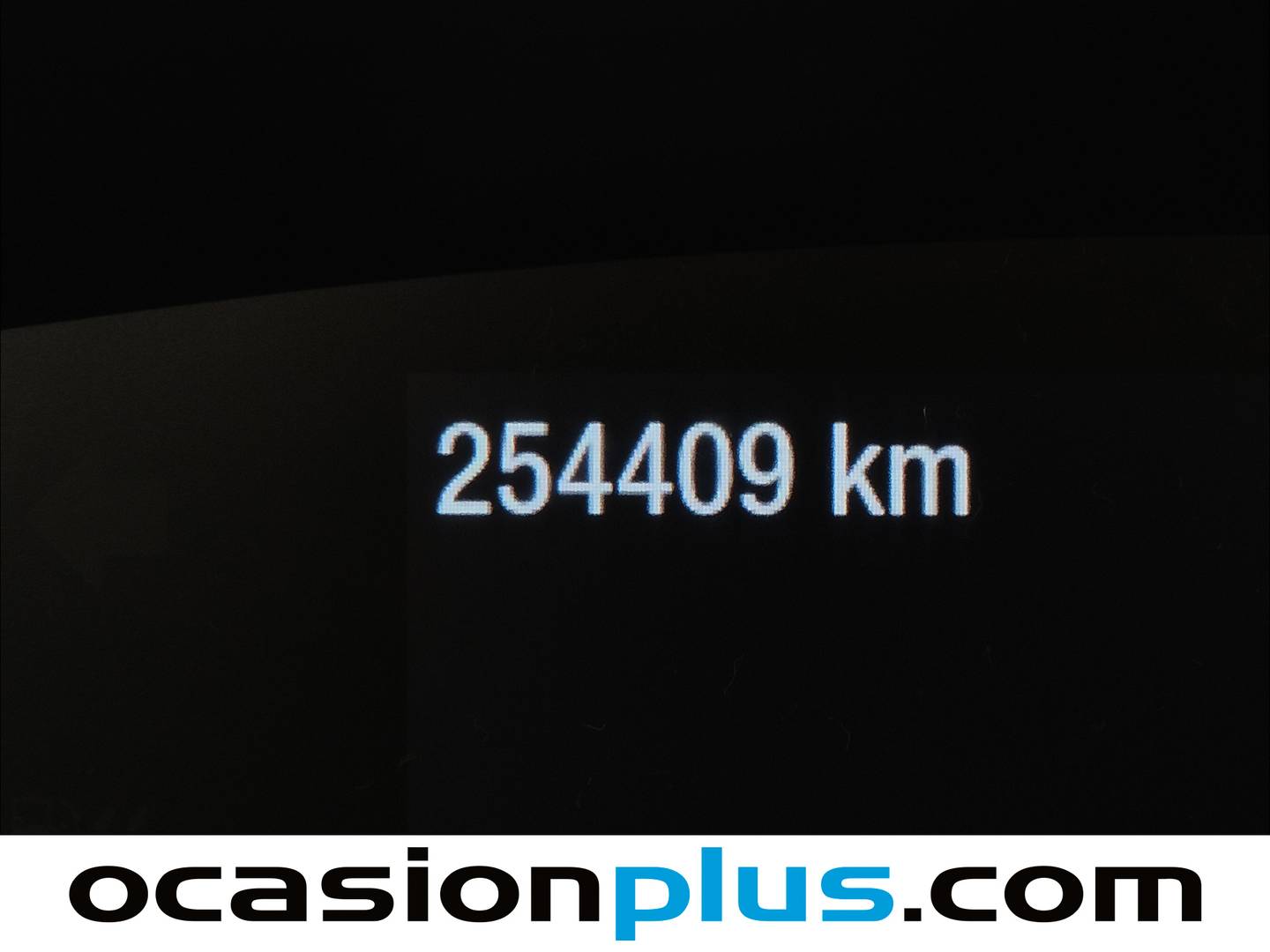 Foto Ford Focus Ford Focus 1.5 Ecoblue Trend+ (120 CV)