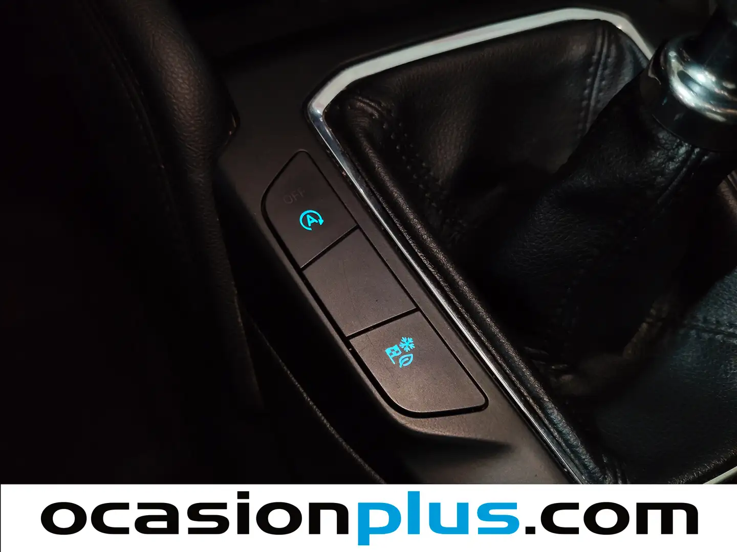 Foto Ford Kuga Ford Kuga 1.5 EcoBlue Titanium Auto (120 CV)