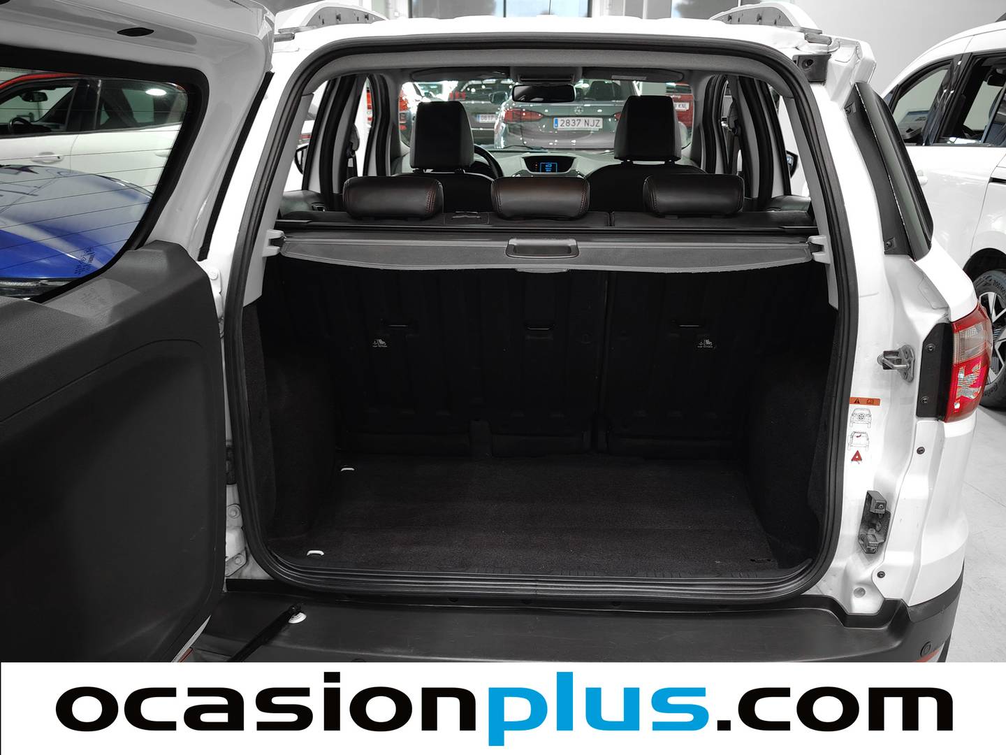 Foto Ford EcoSport Ford EcoSport 1.5 TDCi Titanium (91 CV)