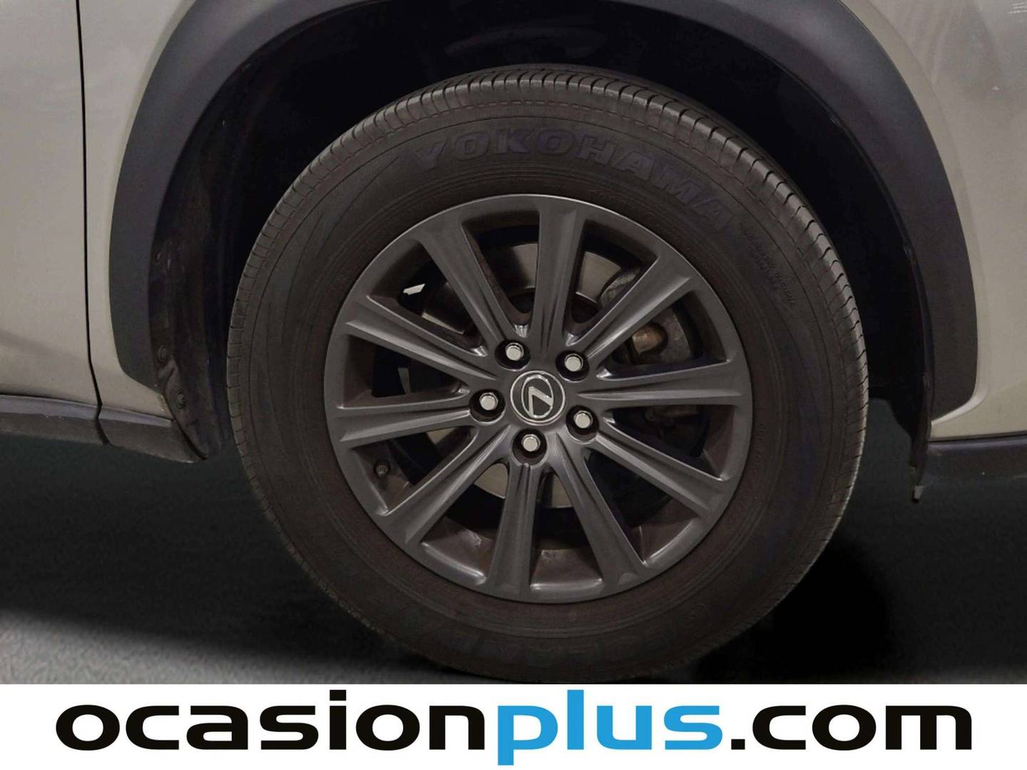 Lexus NX Lexus NX 300h Business 2WD (197 CV) 197cv