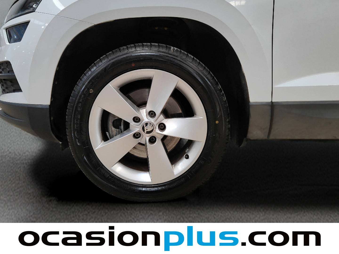 Skoda Karoq Skoda Karoq 1.6 TDI Ambition (115 CV) de ocasión