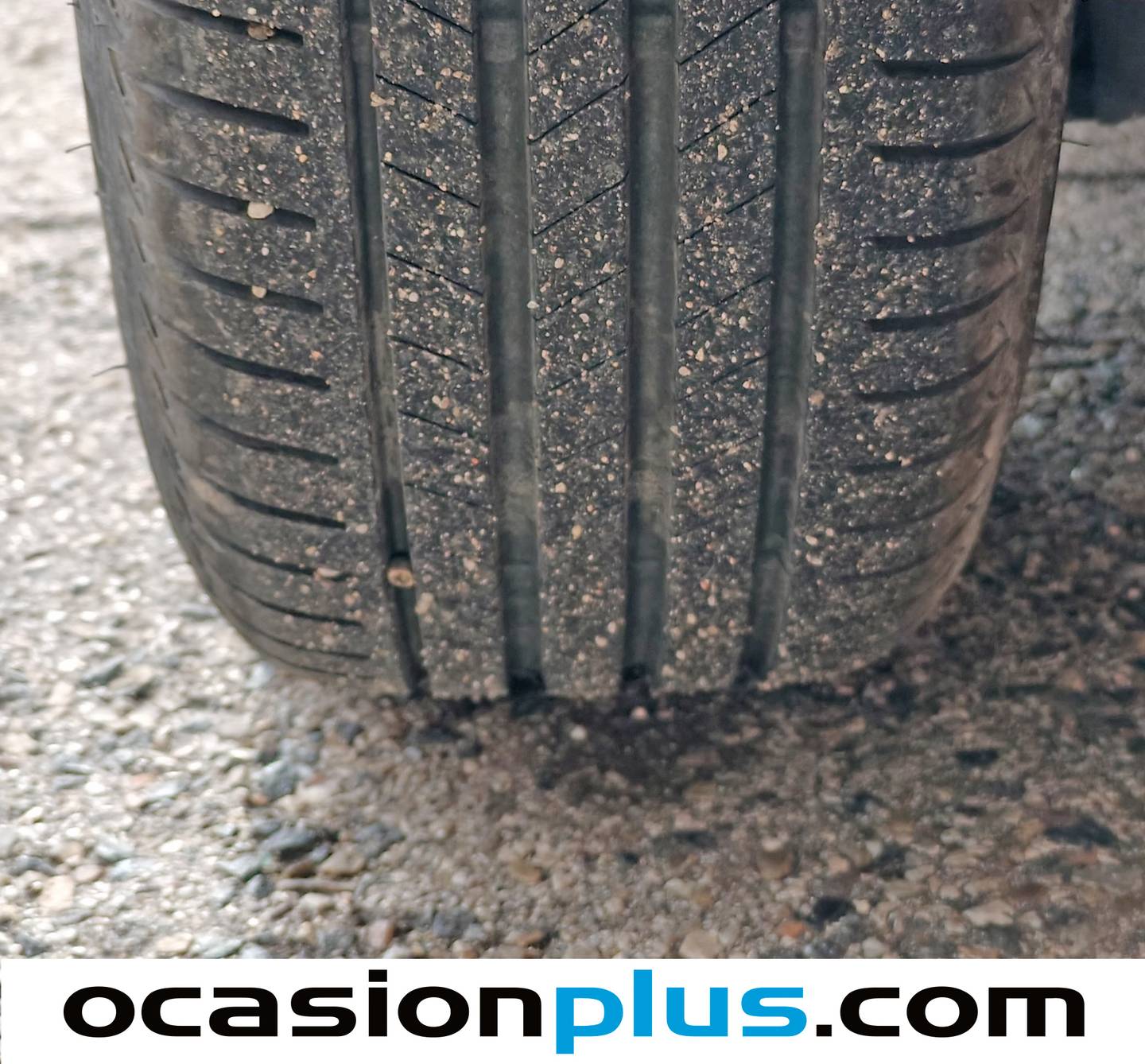 Foto Renault Clio Renault Clio Evolution dCi (100 CV)