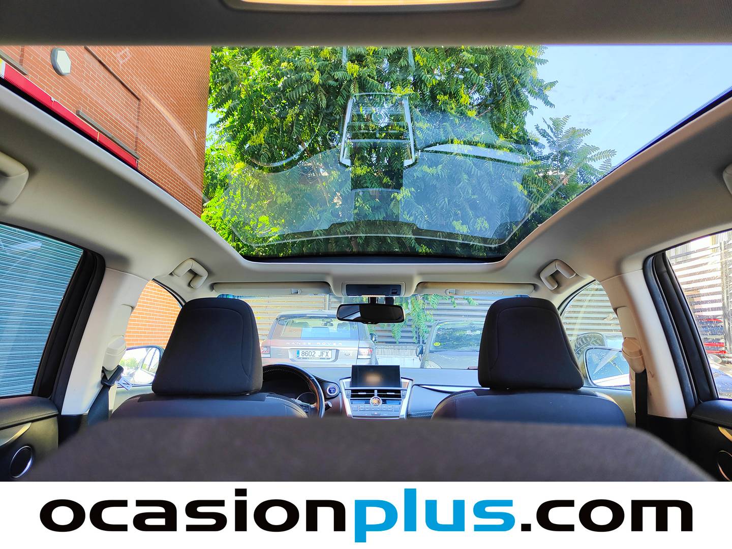 Extras y acabados del Lexus NX Lexus NX NX 300h Sport Edition 2WD (197 CV)