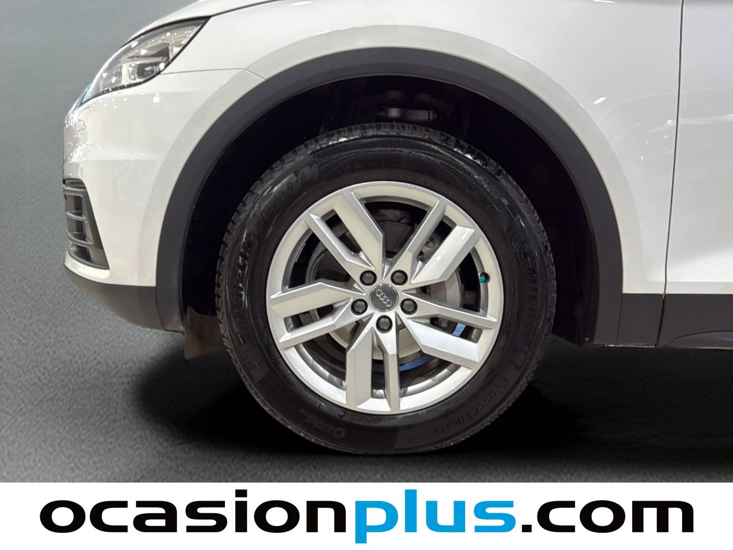 Audi Q5 Audi Q5 Advanced 2.0 TDI (150 CV) km 0