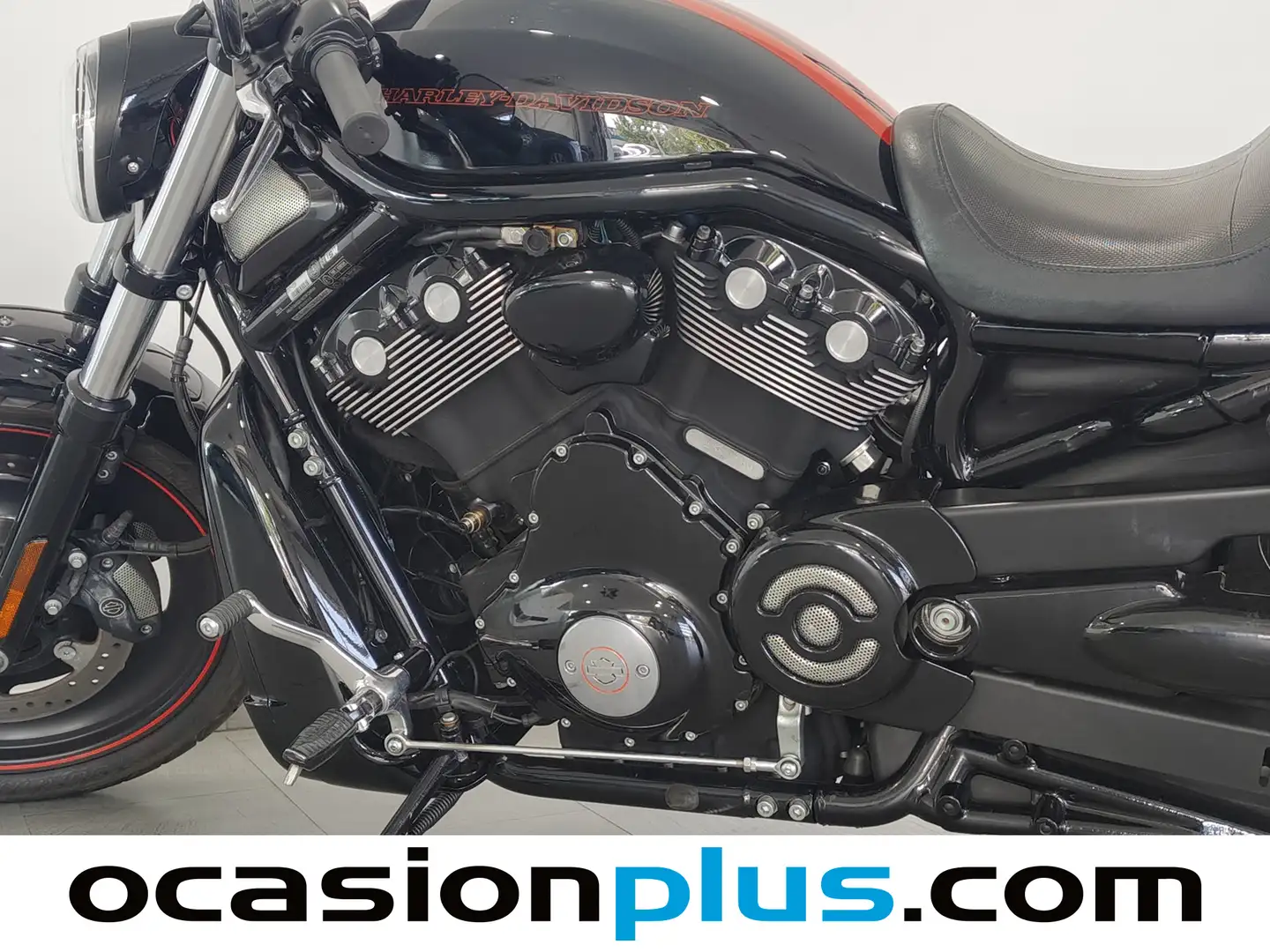 Foto Harley-Davidson Night Rod Special (Solid) Harley-Davidson Night Rod Special (Solid) (125 CV)