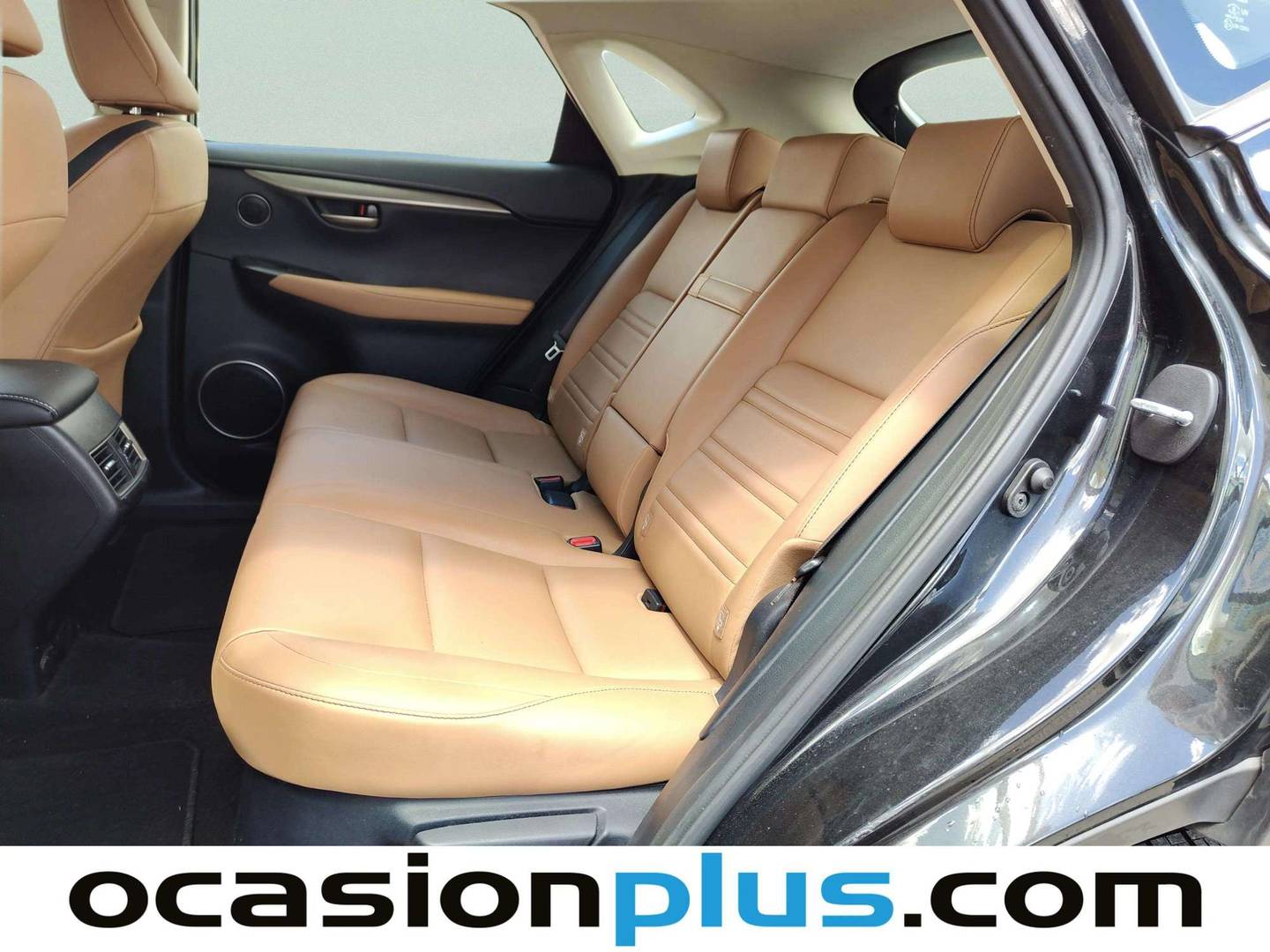 Foto asientos traseros Lexus NX Lexus NX 300h Executive 4WD (197 CV)