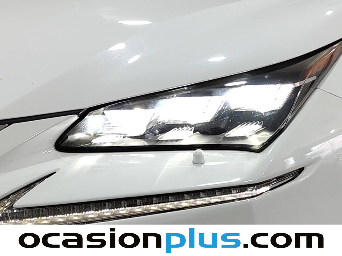 Acabados Lexus NX Lexus NX 300h F Sport 4WD + Navibox (197 CV)