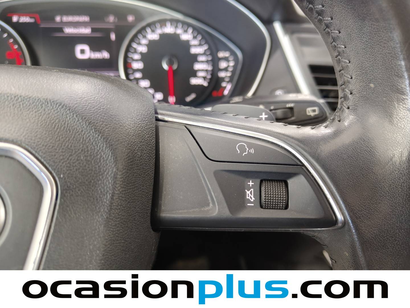 Audi Q5 Audi Q5 Advanced 2.0 TDI quattro (163 CV) S tronic barato