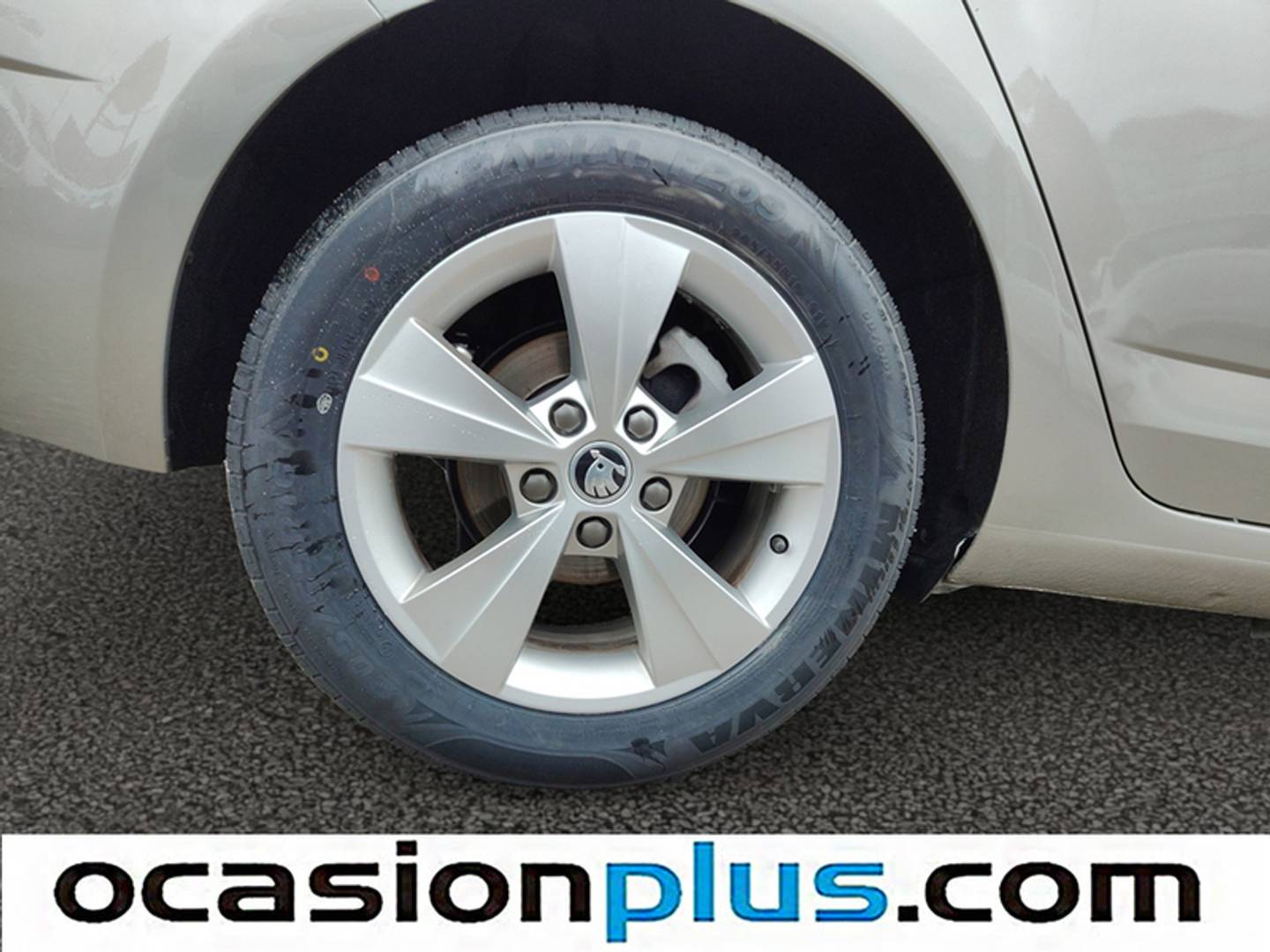 Foto Skoda Octavia Skoda Octavia 1.0 TSI Ambition DSG (115 CV)